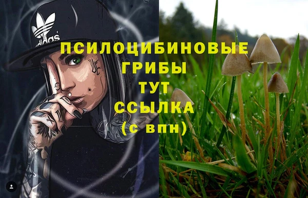 амф Нязепетровск