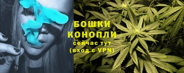 крисы Балабаново